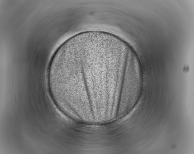 X0000090601517200708141320