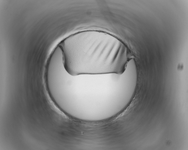 X0000090601518200708141320