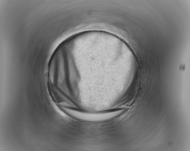 X0000090601519200708141320