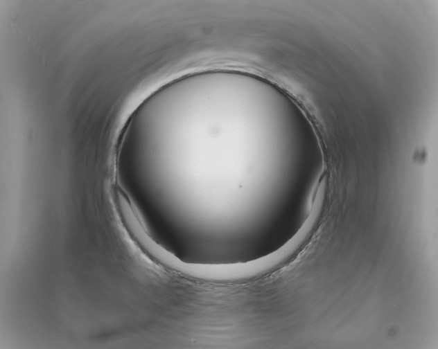 X0000090601520200708141320