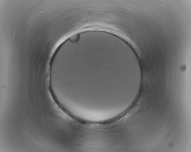 X0000090601522200708141320