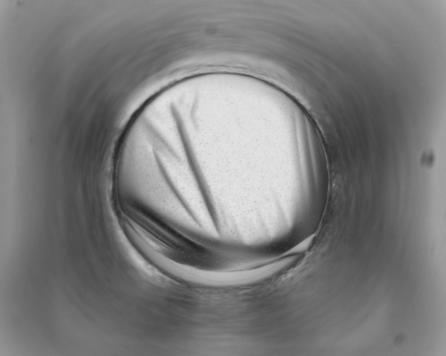 X0000090601523200708141320