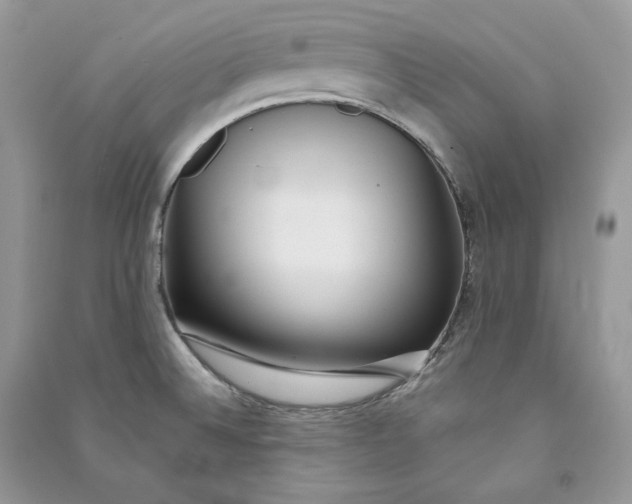 X0000090601524200708141320