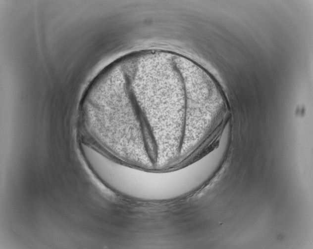 X0000090601525200708141320