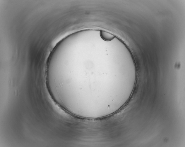 X0000090601526200708141320