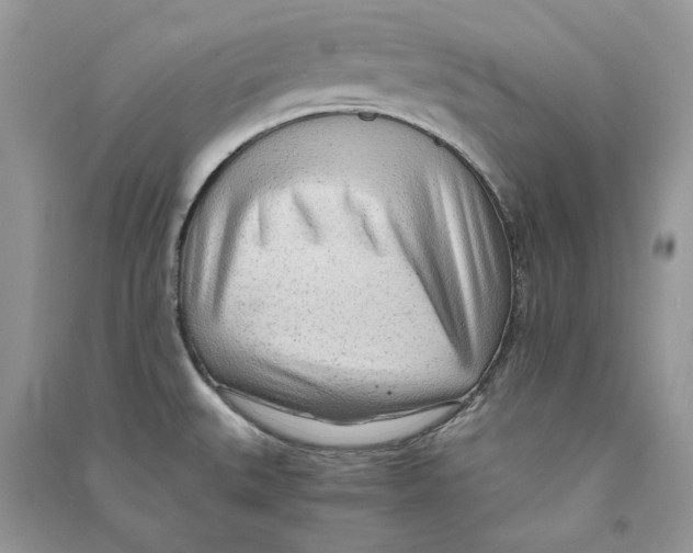 X0000090601527200708141320