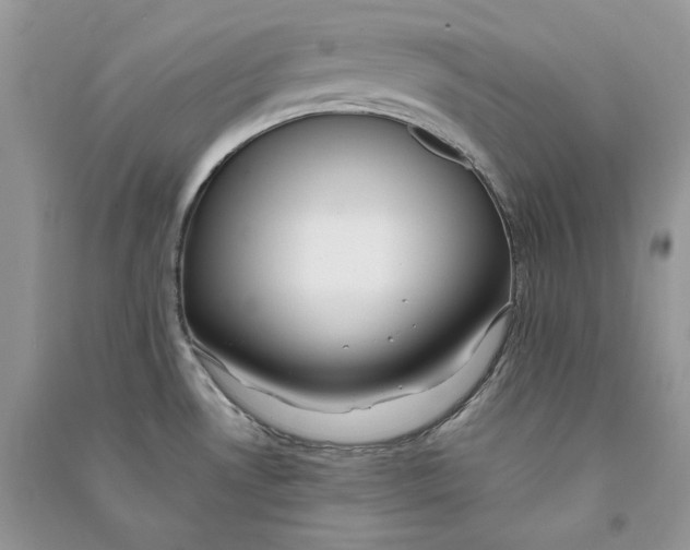 X0000090601530200708141320