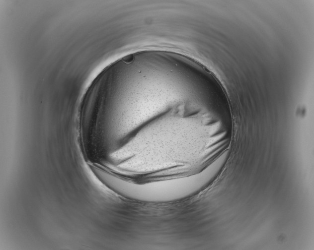 X0000090601531200708141320