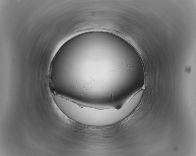 X0000090601532200708141320