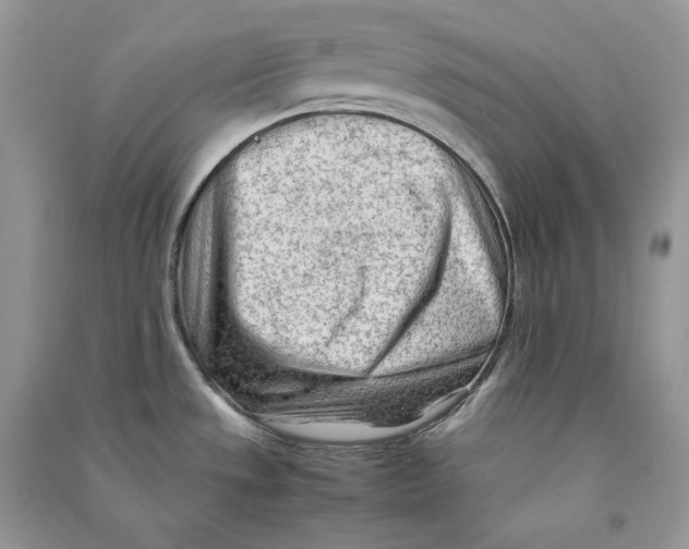 X0000090601533200708141320