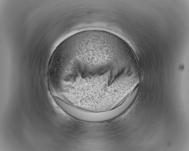 X0000090601534200708141320