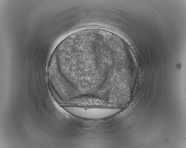 X0000090601535200708141320