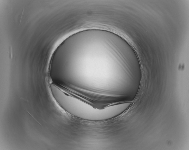 X0000090601536200708141320