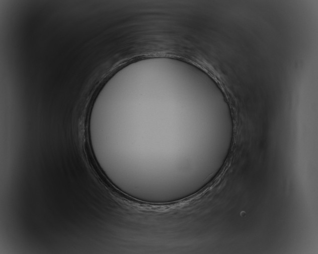 X0000090610002200707171053