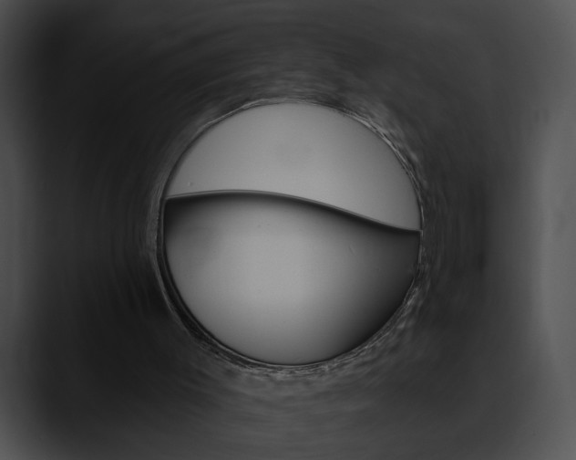 X0000090610003200707171053
