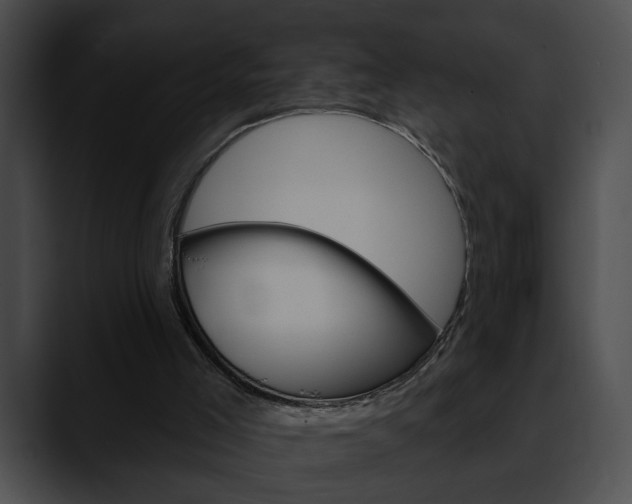 X0000090610005200707171053