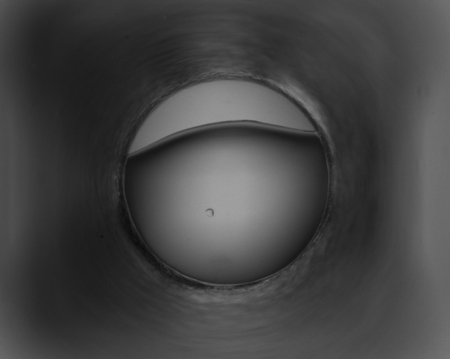 X0000090610009200707171053