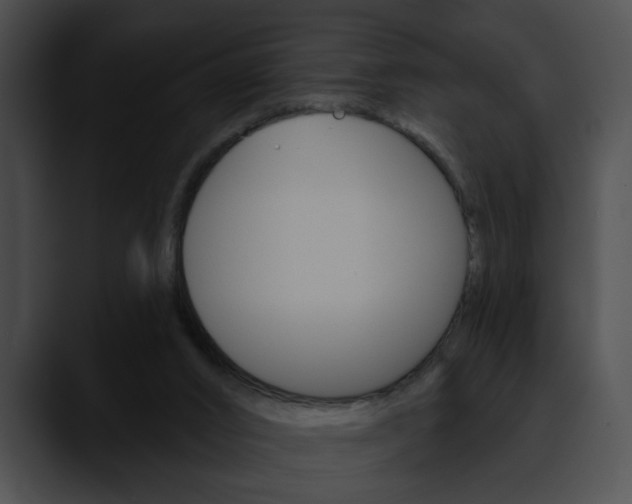 X0000090610016200707171052