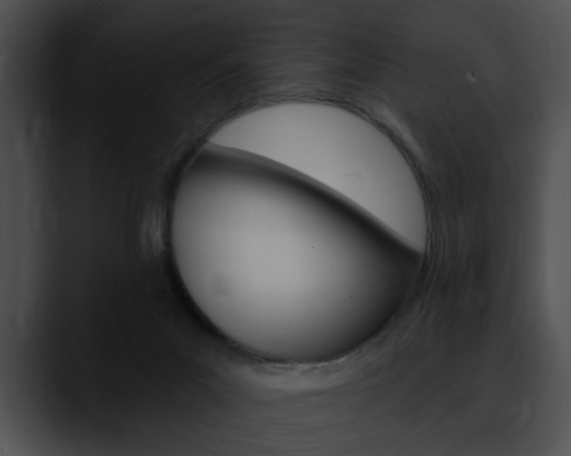 X0000090610023200707171052
