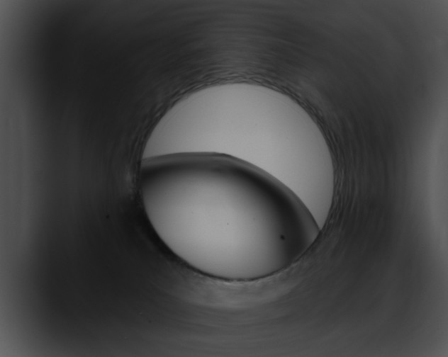 X0000090610039200707171052