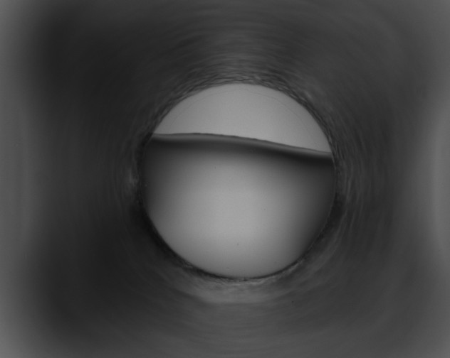 X0000090610040200707171052