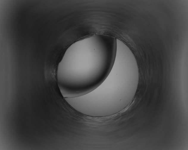 X0000090610045200707171052
