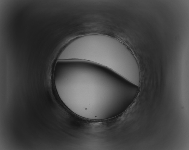 X0000090610054200707171052