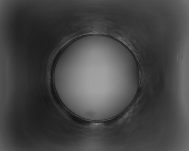 X0000090610055200707171052