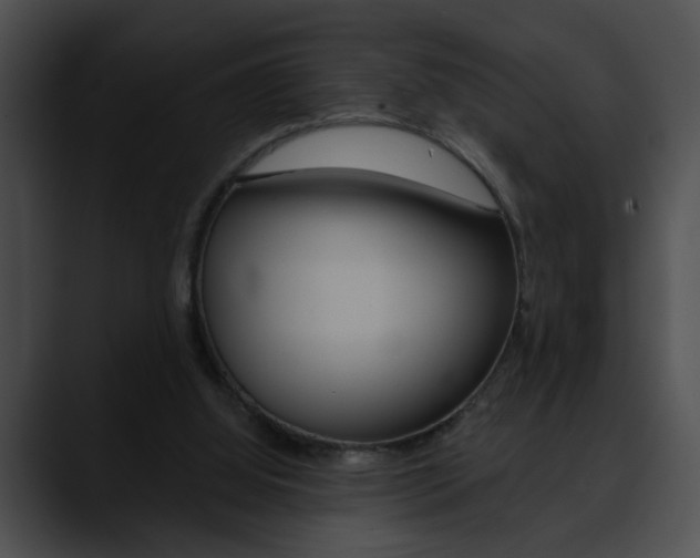X0000090610060200707171052