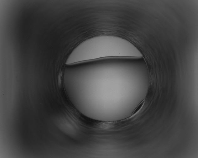 X0000090610094200707171052