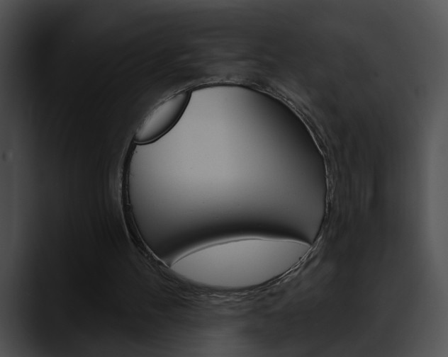 X0000090610100200707171051