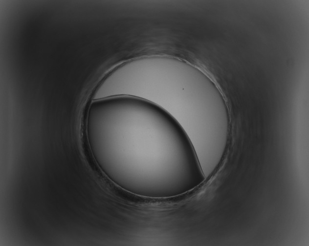 X0000090610103200707171051