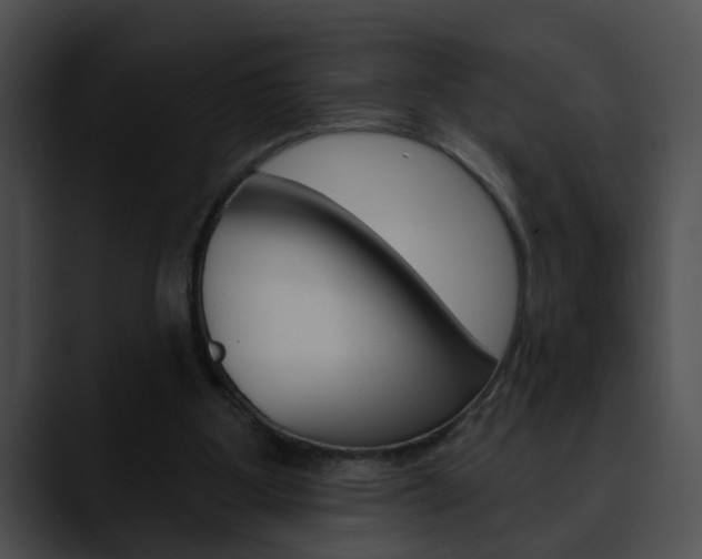 X0000090610107200707171051