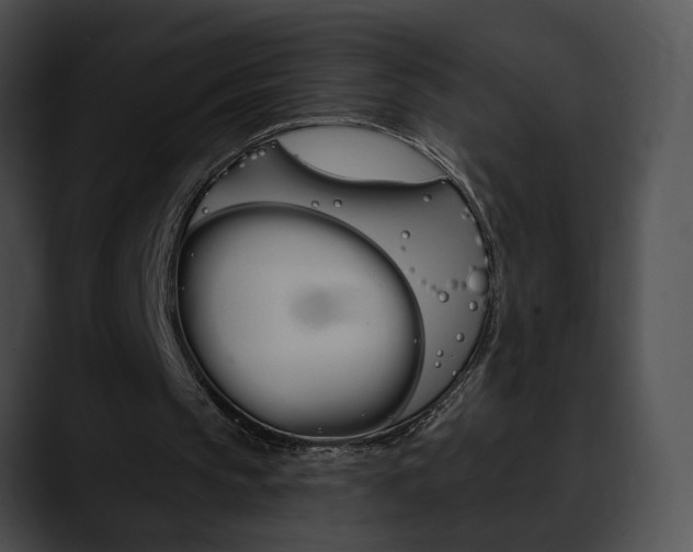 X0000090610145200707171050