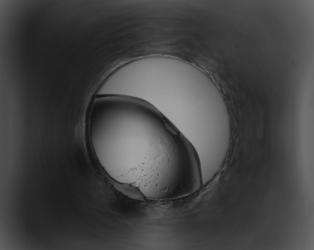 X0000090610148200707171050