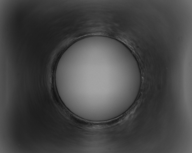 X0000090610149200707171050