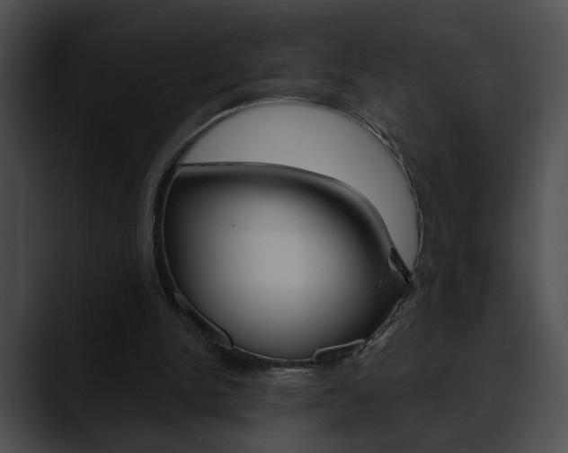 X0000090610150200707171050