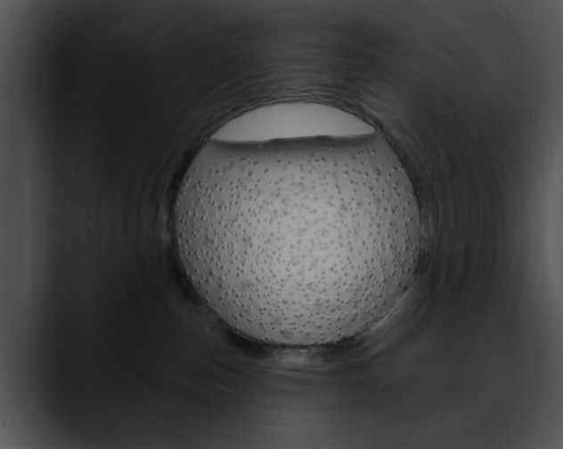 X0000090610187200707171051
