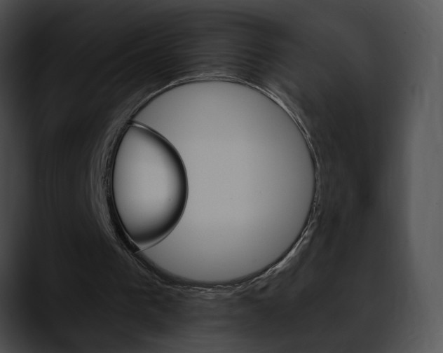 X0000090610193200707171050