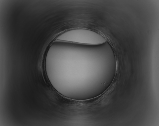X0000090610195200707171050