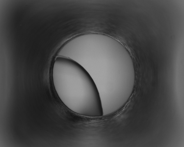 X0000090610196200707171050