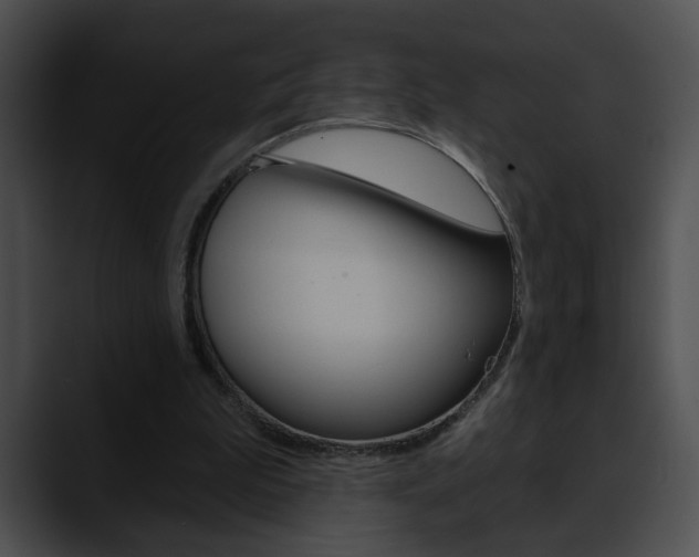 X0000090610199200707171050