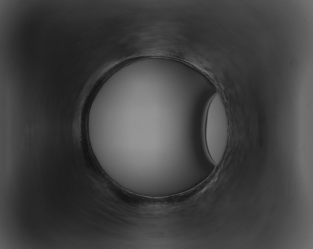 X0000090610200200707171050