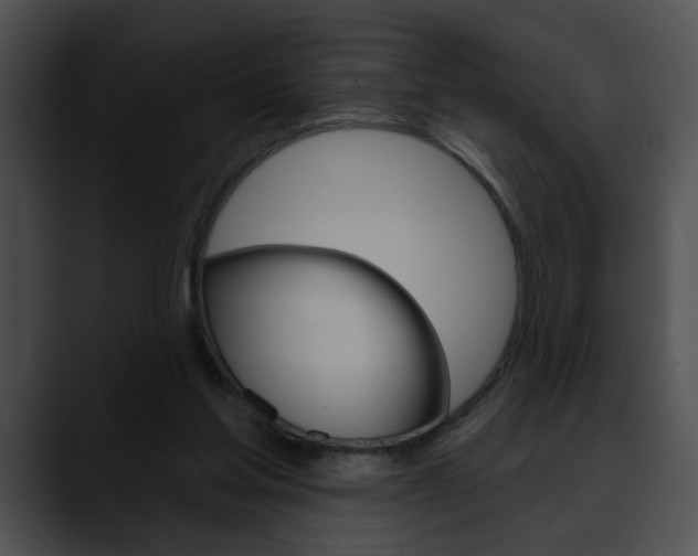 X0000090610205200707171050