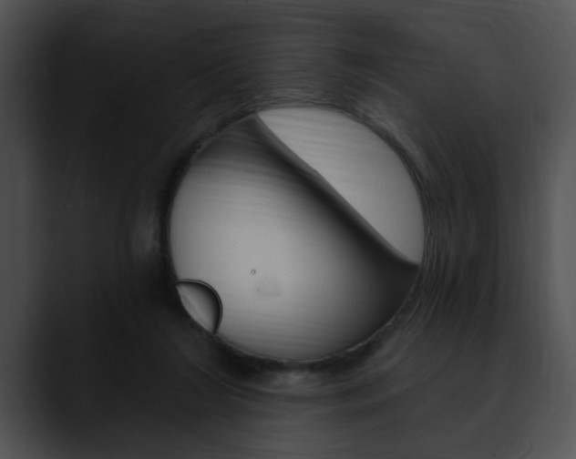 X0000090610212200707171050