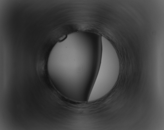 X0000090610219200707171050