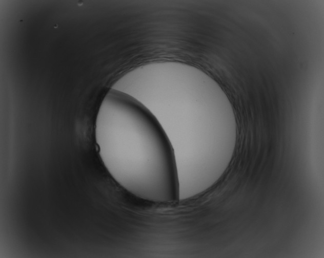 X0000090610228200707171050