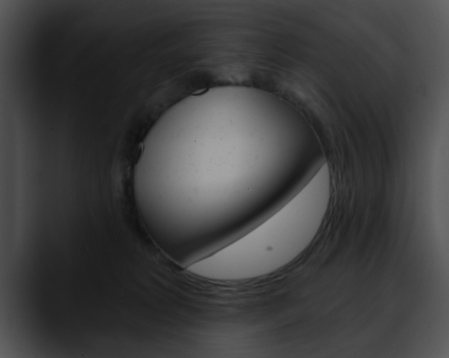 X0000090610229200707171050