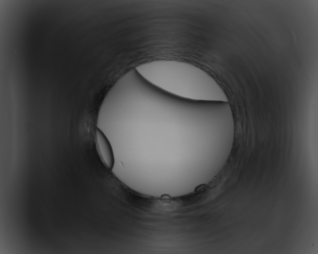 X0000090610234200707171050