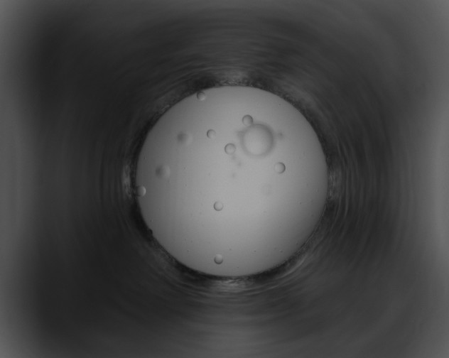 X0000090610238200707171050
